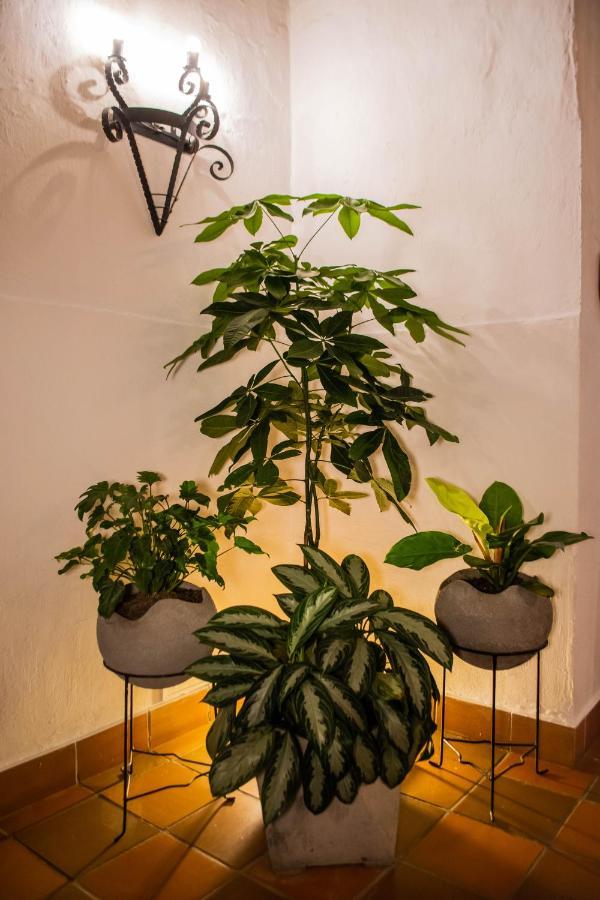 Hotel Boutique Casa Grande Piedecuesta Εξωτερικό φωτογραφία